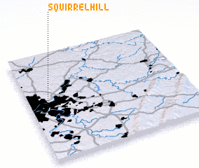 3d view of Squirrel Hill