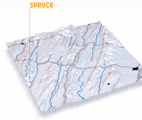 3d view of Spruce