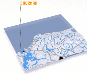 3d view of Sherman