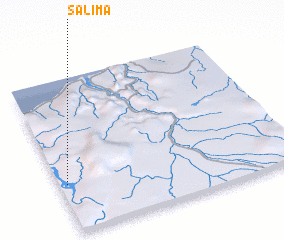 3d view of Salima