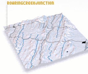 3d view of Roaring Creek Junction