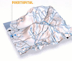 3d view of Puerto Pital