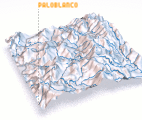 3d view of Palo Blanco