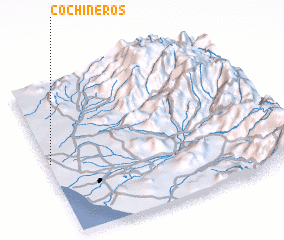 3d view of Cochineros