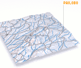 3d view of Pailobo