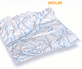 3d view of Amslam