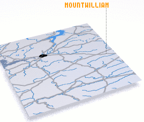 3d view of Mount William