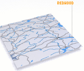 3d view of Redwood