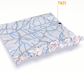 3d view of Tazi