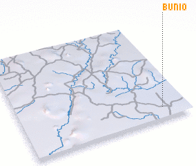 3d view of Bunio