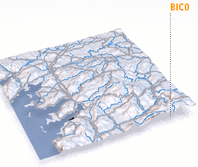 3d view of Bico