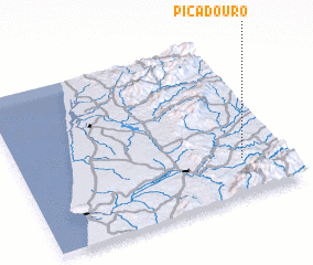 3d view of Picadouro