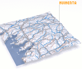 3d view of Muimenta