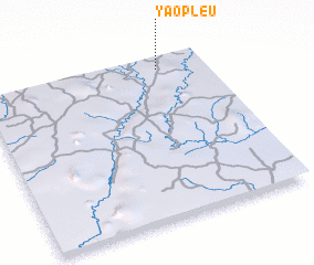 3d view of Yaopleu