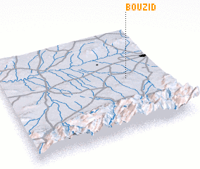 3d view of Bou Zid