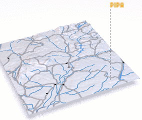 3d view of Pipa