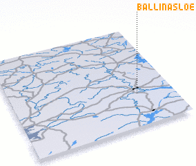 3d view of Ballinasloe