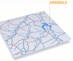 3d view of Siékorolé