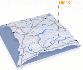 3d view of Tunes