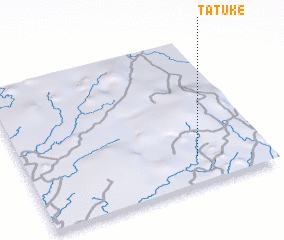 3d view of Tatuke