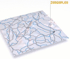 3d view of Zongopleu