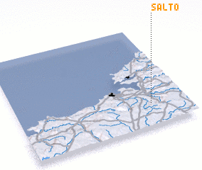 3d view of Salto