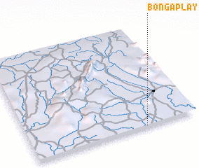 3d view of Bongaplay