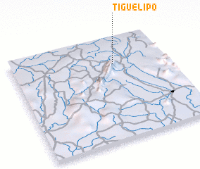 3d view of Tiguélipo