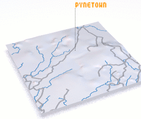 3d view of Pyne Town