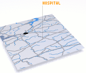 3d view of Hospital