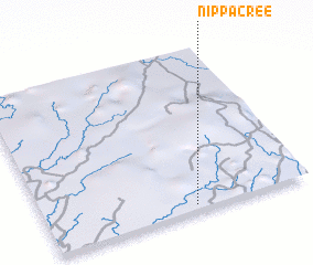 3d view of Nippacree