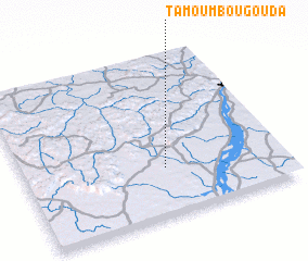 3d view of Tamoumbougouda