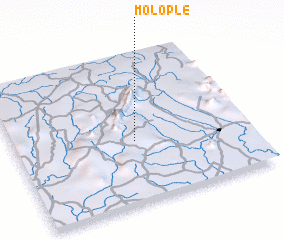 3d view of Molople