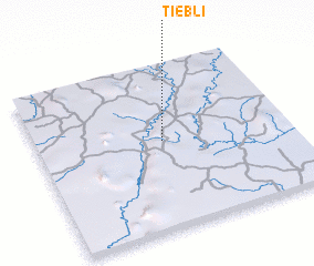 3d view of Tiébli