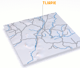 3d view of Tliapie