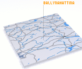 3d view of Ballynahattina