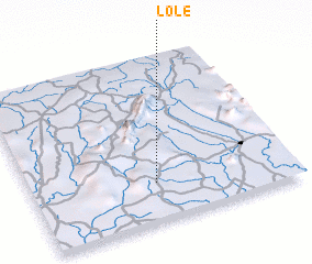 3d view of Lole