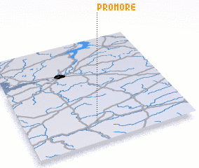 3d view of Promore