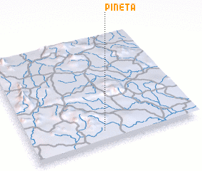 3d view of Pinéta