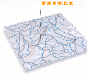 3d view of Nimba Number One