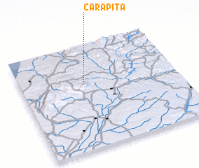 3d view of Carapita