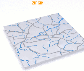 3d view of Zingim