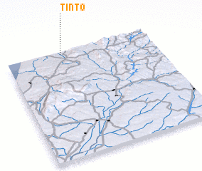 3d view of Tinto