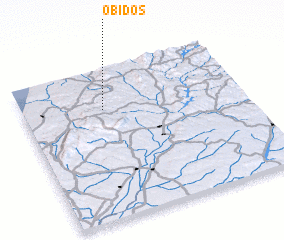 3d view of Óbidos