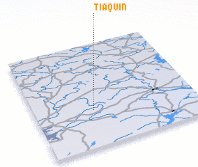 3d view of Tiaquin