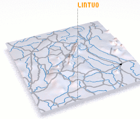 3d view of Lintuo