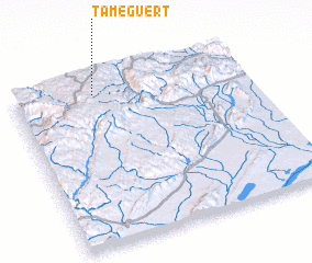 3d view of Tameguert