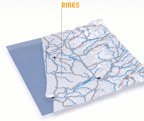 3d view of Rines