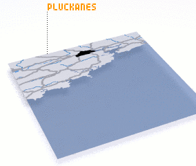 3d view of Pluckanes