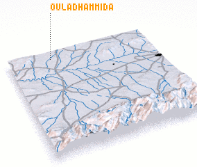 3d view of Oulad Hammida